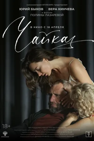 Чайка постер